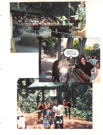 First-year-044.jpg