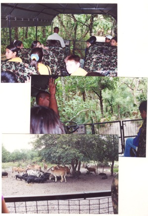 Tenth-year-061.jpg