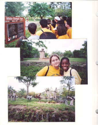 Eleventh-year-048.jpg