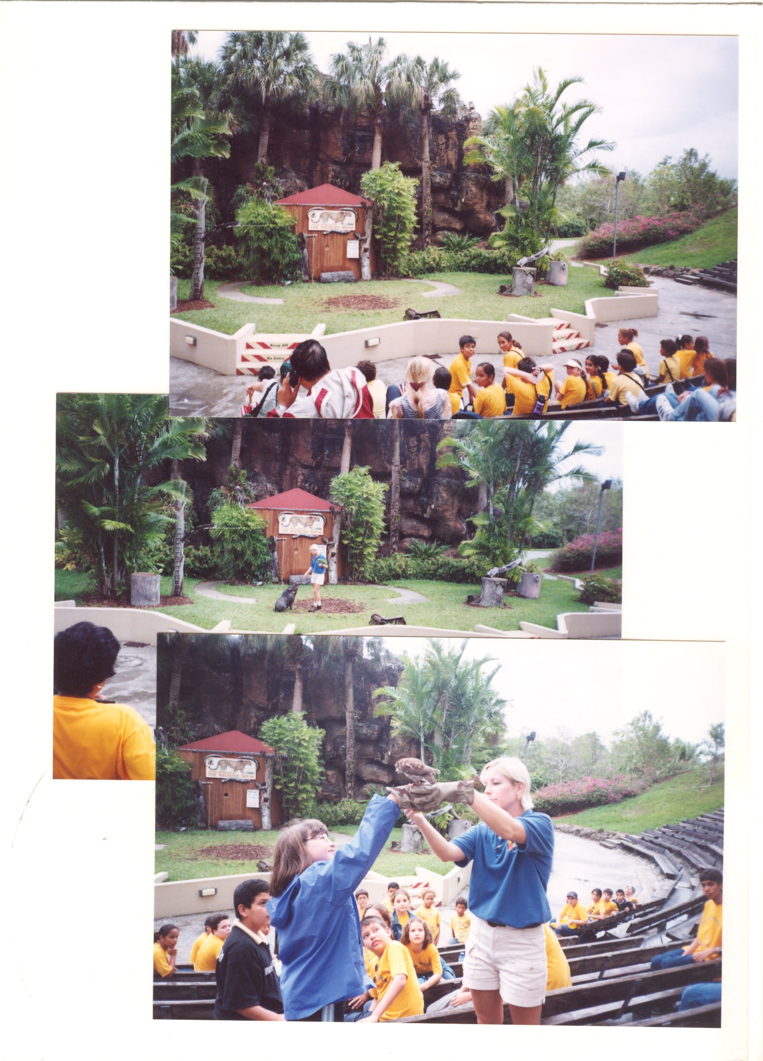 Loading Image