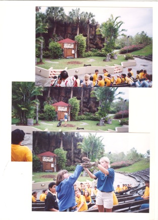 Eleventh-year-049.jpg