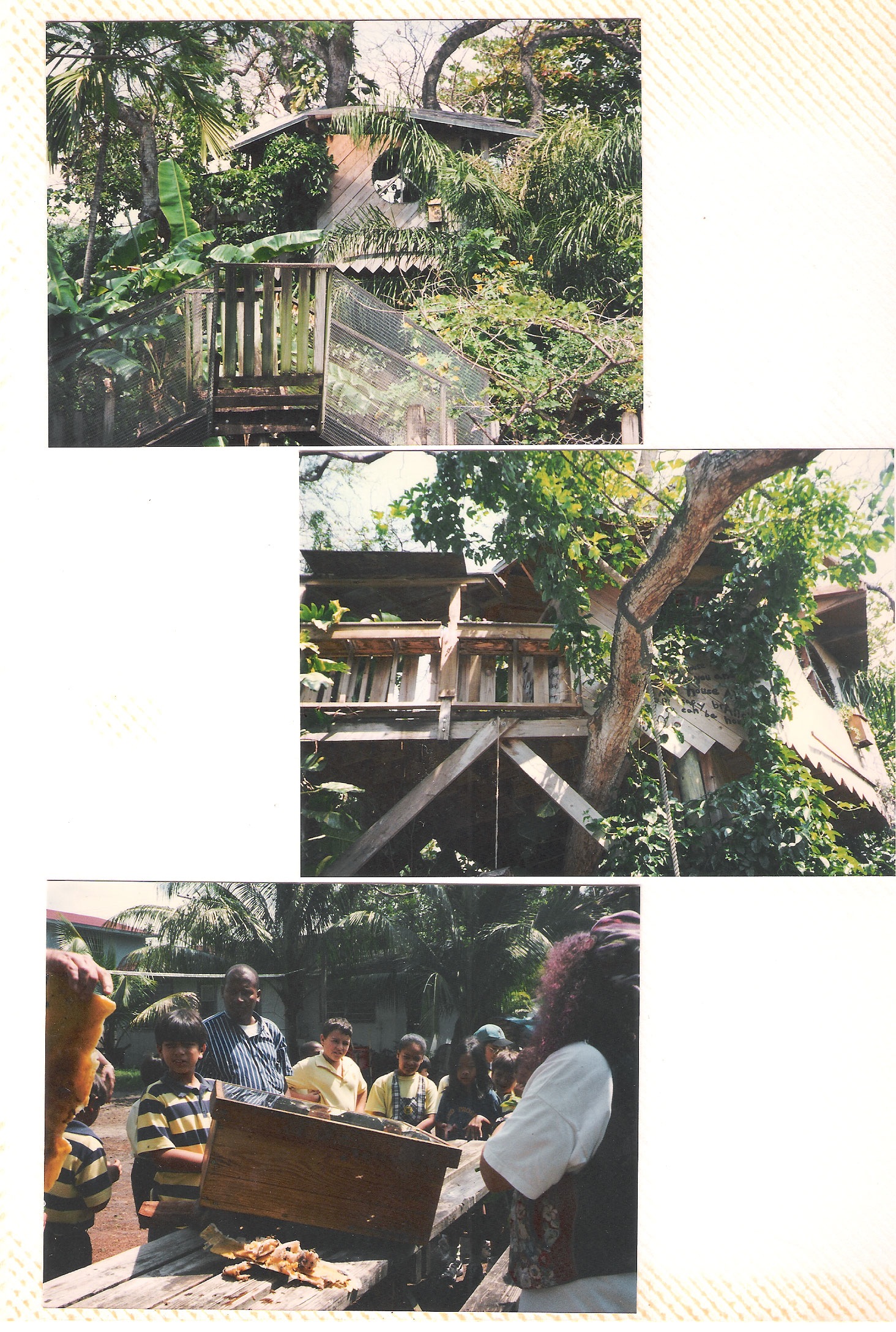 Loading Image