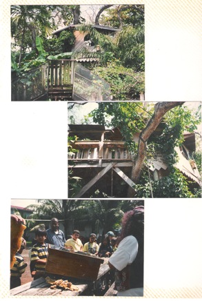 Sixth-year-019.jpg