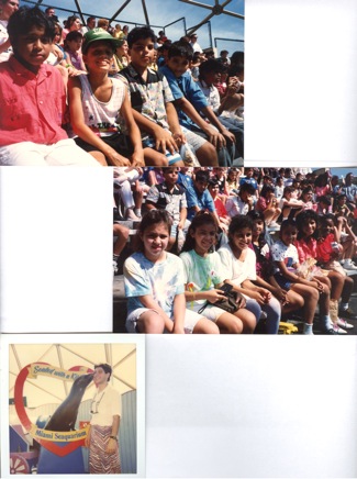 Fienberg-Fisher-Elem.-(1991)-002.jpg