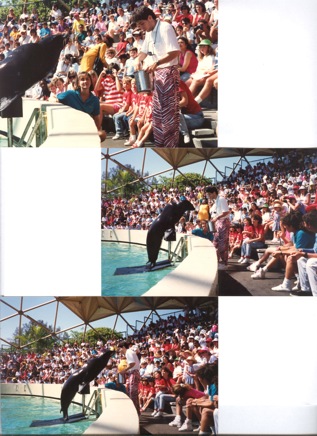 Fienberg-Fisher-Elem.-(1991)-001.jpg