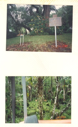 Overnight-Trip-(1995)-021.jpg
