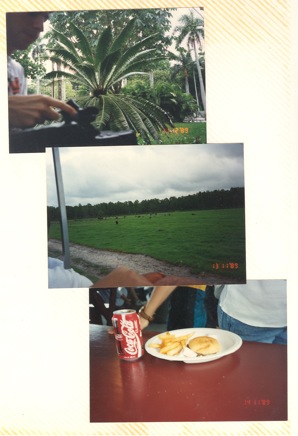 Overnight-Trip-(1995)-022.jpg