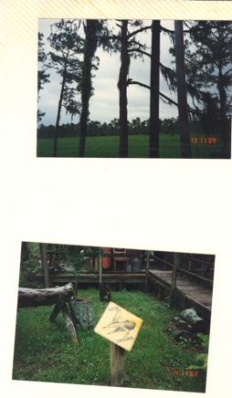 Overnight-Trip-(1995)-023.jpg
