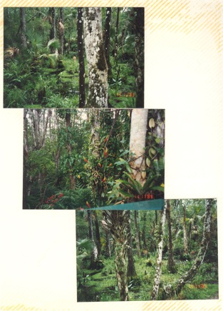 Overnight-Trip-(1995)-024.jpg