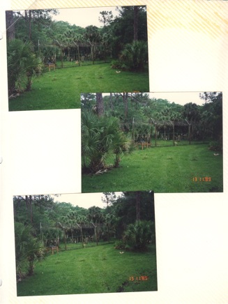 Overnight-Trip-(1995)-025.jpg