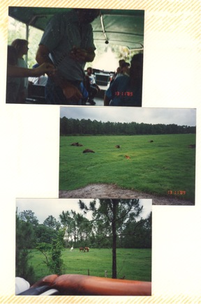 Overnight-Trip-(1995)-026.jpg