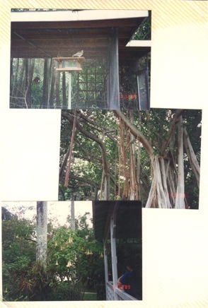 Overnight-Trip-(1995)-033.jpg