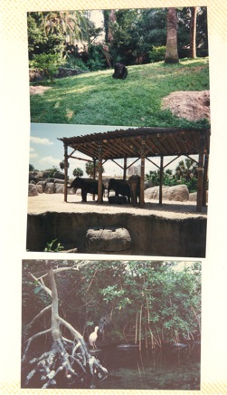 Overnight-Trip-(1996)-019.jpg
