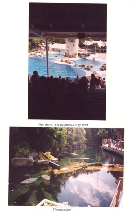 Overnight-Trip-(2002)-015.jpg